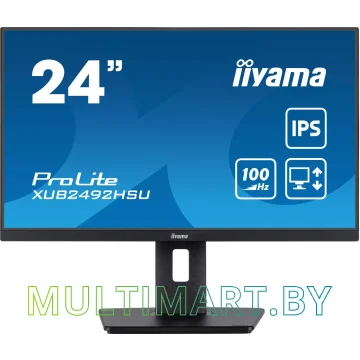 Монитор Iiyama ProLite XUB2492HSU-B6